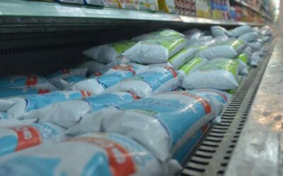 Lechería argentina: panorama durante y post pandemia, sus impactos en la actualidad y en el mediano plazo