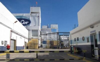 Sancor: se definieron los integrantes del Consejo Asesor y la estrategia de la láctea
