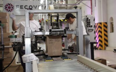Herramienta Uno: ¿De qué se trata el nuevo modelo para financiar actividades agropecuarias?