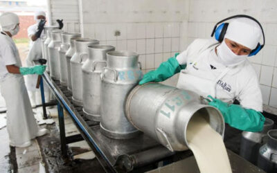 La industria lechera asegura estar ante una de las crisis más severas de la historia del sector
