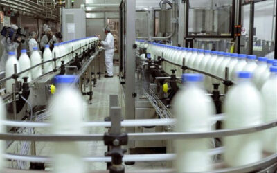 1º de Junio Día Mundial de la Leche