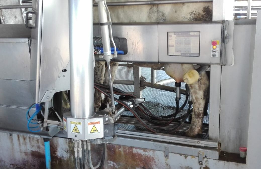 Productores de SanCor visitaron el tambo robotizado del INTA Rafaela