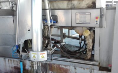 Productores de SanCor visitaron el tambo robotizado del INTA Rafaela
