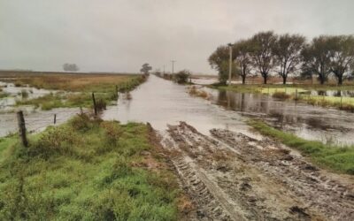 Charles Gide, una de las cooperativas lácteas afectadas por el agua