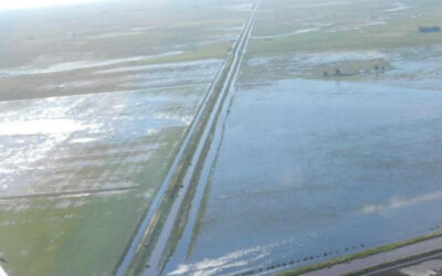 Productores reclaman por obras ante las inundaciones