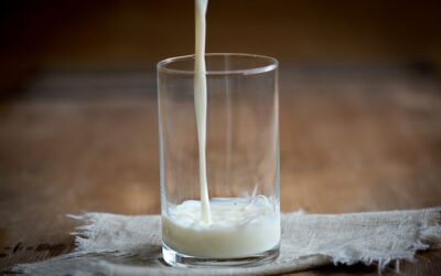 Asociarse para producir leche: ¿Una opción para los tambos chicos?