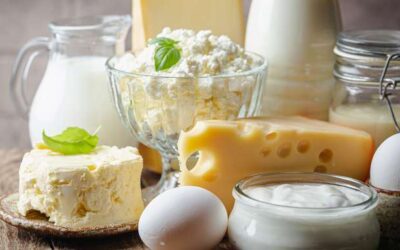 Cuántas porciones de lácteos se recomiendan consumir a diario