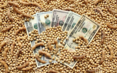 Comunicado conjunto de las tres Cámara industriales lácteas sobre el relanzamiento del “dólar soja”