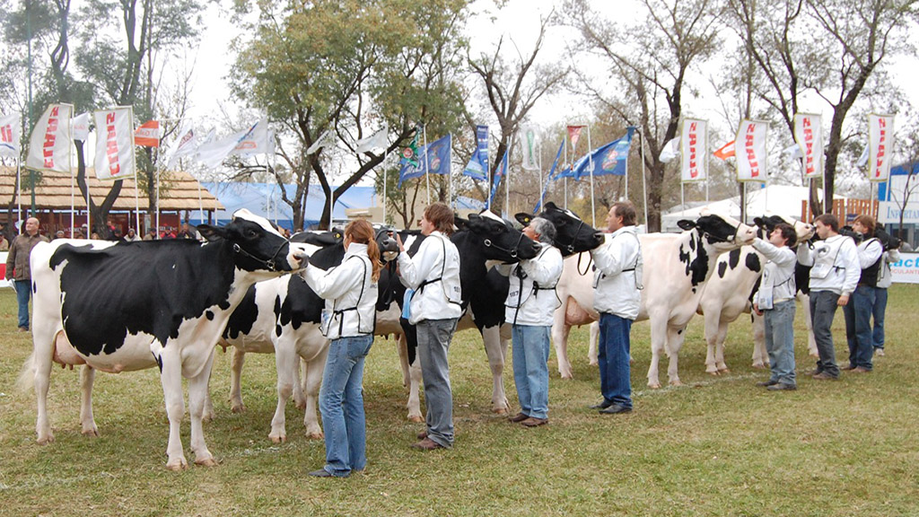 NOTICIAS LECHERAS DE LA SEMANA – Boletín de información calificada para el sector lácteo