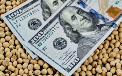El Gobierno prorrogó el dólar soja 4: ¿Hasta cuándo será?